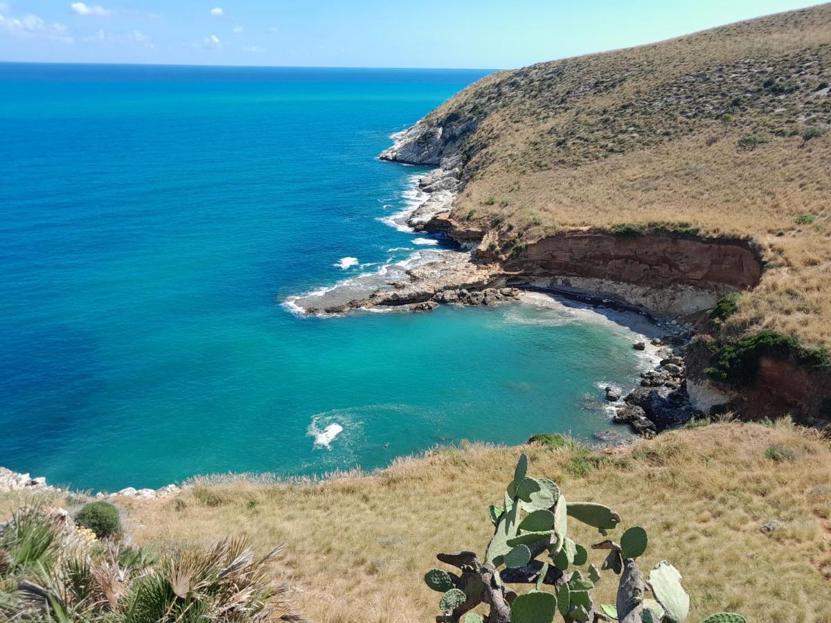 Mediterraneo كاستيلاّماري ديل غو المظهر الخارجي الصورة